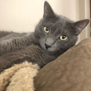 Meet your Posher, Bianca